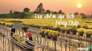 Taxi Tháp Mười Đồng Tháp - Grab Hotline 0565.680.680 dong thap